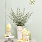 10-50pcs Eucalyptus Wall Hanging Decor Emma