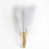 6pcs Pampas Grass Decor Flowers white 6PCS PACK Emma