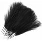 10/50pcs Pampas Grass Reed Plants color 7 Emma