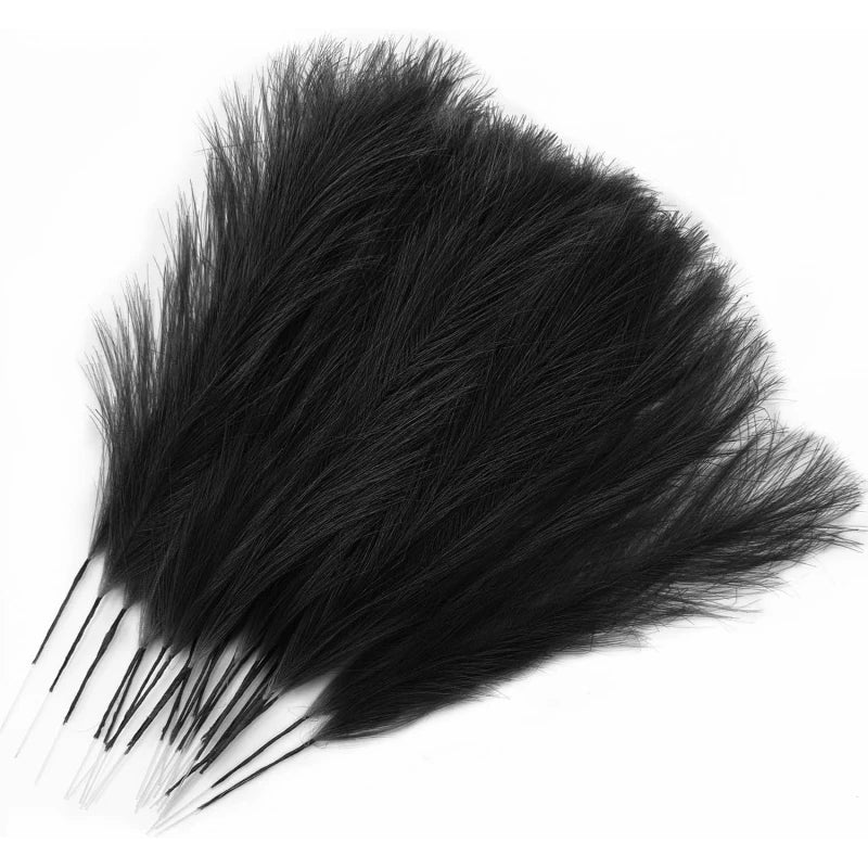 10/50pcs Pampas Grass Reed Plants color 7 Emma