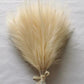 5/10/20pcs Fluffy Pampas Grass Boho YZ6-05 Emma