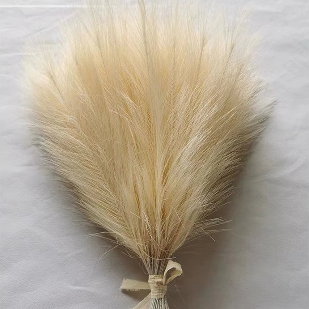5/10/20pcs Fluffy Pampas Grass Boho YZ6-05 Emma