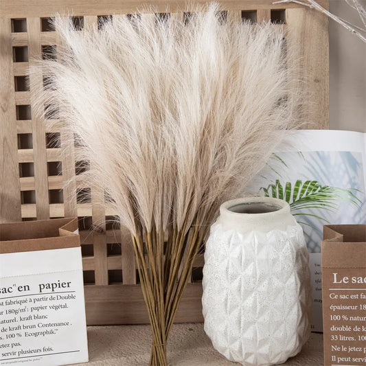 10pcs Flower Pampas Grass Plant Emma