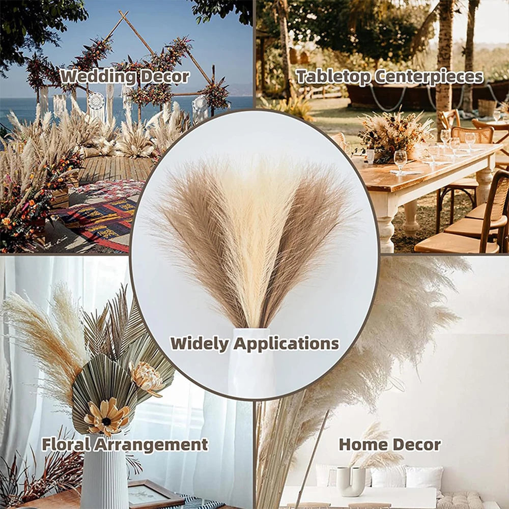 5/10/20pcs Fluffy Pampas Grass Boho Emma
