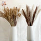 Natural Pampas Dried Flowers Bouquet Emma