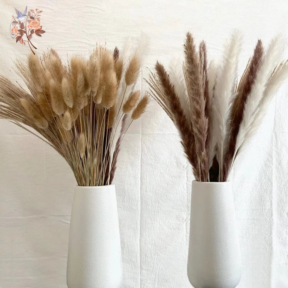 Natural Pampas Dried Flowers Bouquet Emma