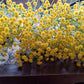 108 Head Flower Baby's Breath Yellow 1pcs Emma