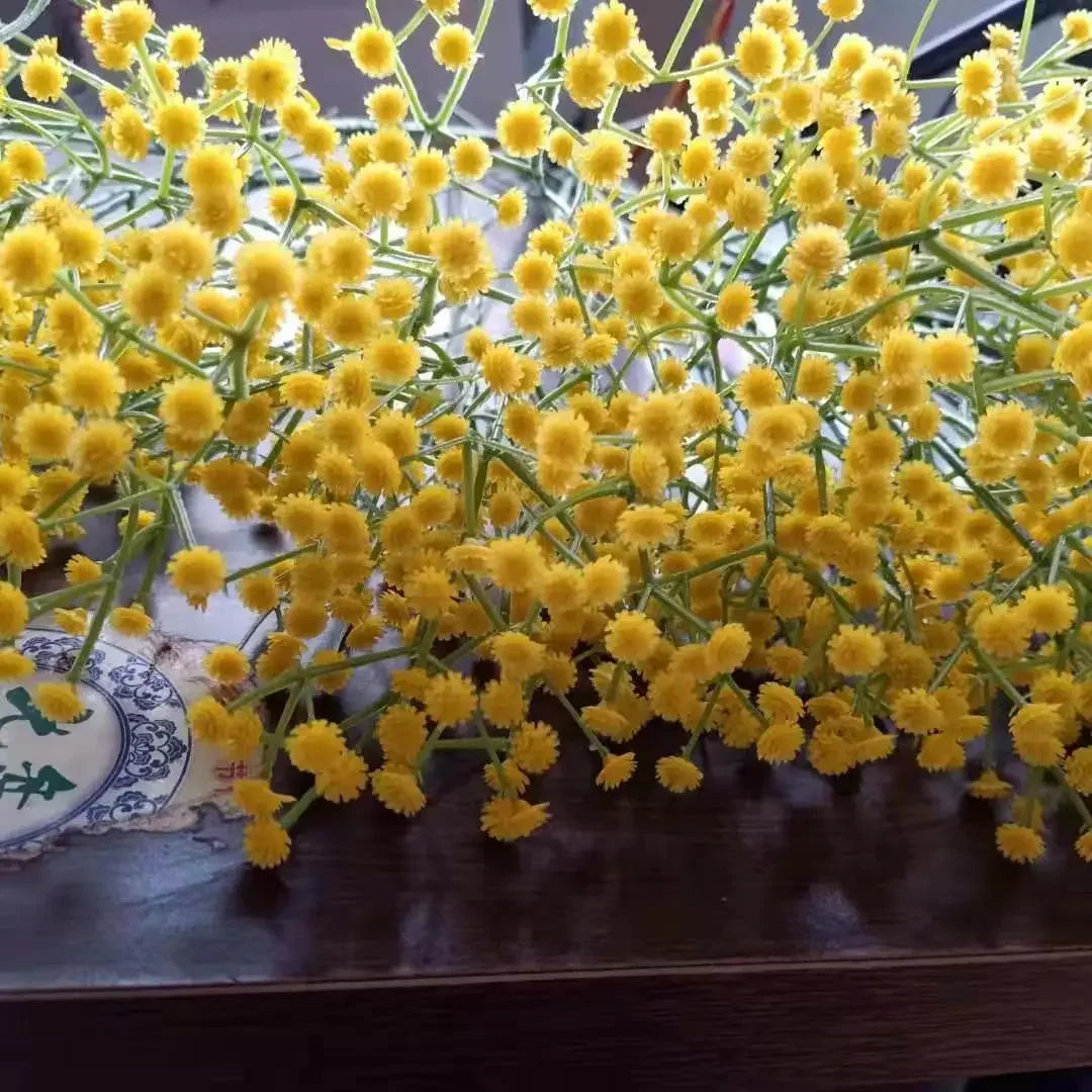 108 Head Flower Baby's Breath Yellow 1pcs Emma