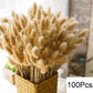 Natural Pampas Dried Flowers Bouquet O-100PCS Emma