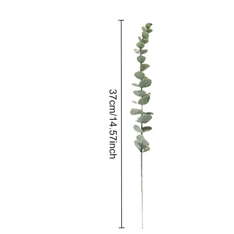 10-50pcs Eucalyptus Wall Hanging Decor Emma