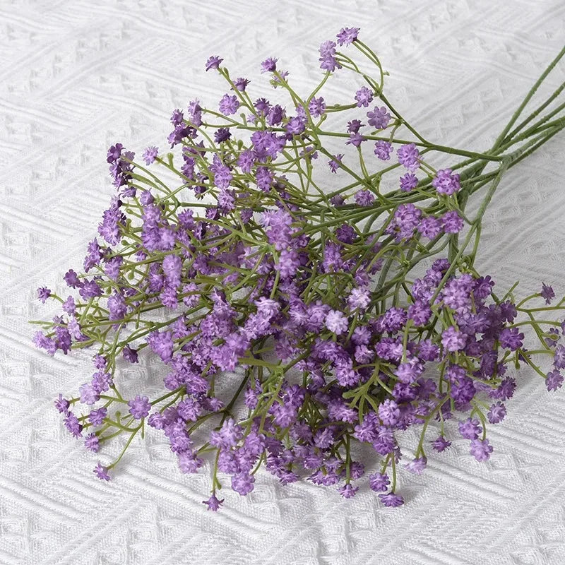 Gypsophila Flower Outdoor Garden Party purple Emma