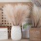 5/10/20pcs Fluffy Pampas Grass Boho Emma