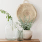 10-50pcs Eucalyptus Wall Hanging Decor Emma