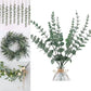 Yannew 12pcs Eucalyptus Stems Silver Emma