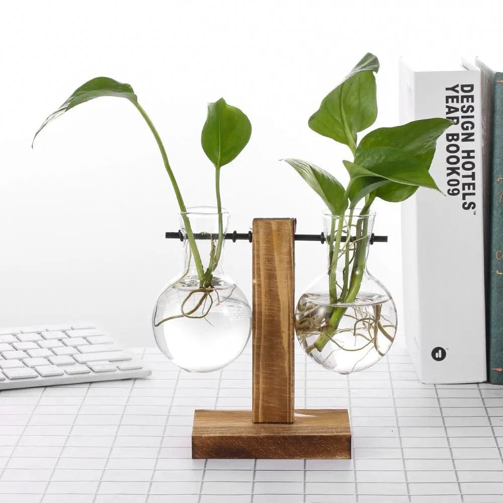 Vintage Glass Planter with Wooden Stand – Bulb Vase for Decor Emma