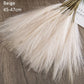 10pcs Flower Pampas Grass Plant beige 10PCS Emma