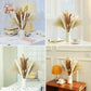 Natural Pampas Dried Flowers Bouquet Emma