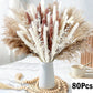 Natural Pampas Dried Flowers Bouquet B-80PCS Emma