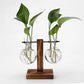 Modern Glass Vase with Wooden Stand – Hydroponic Tabletop Planter Emma