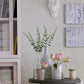 10-50pcs Eucalyptus Wall Hanging Decor Emma