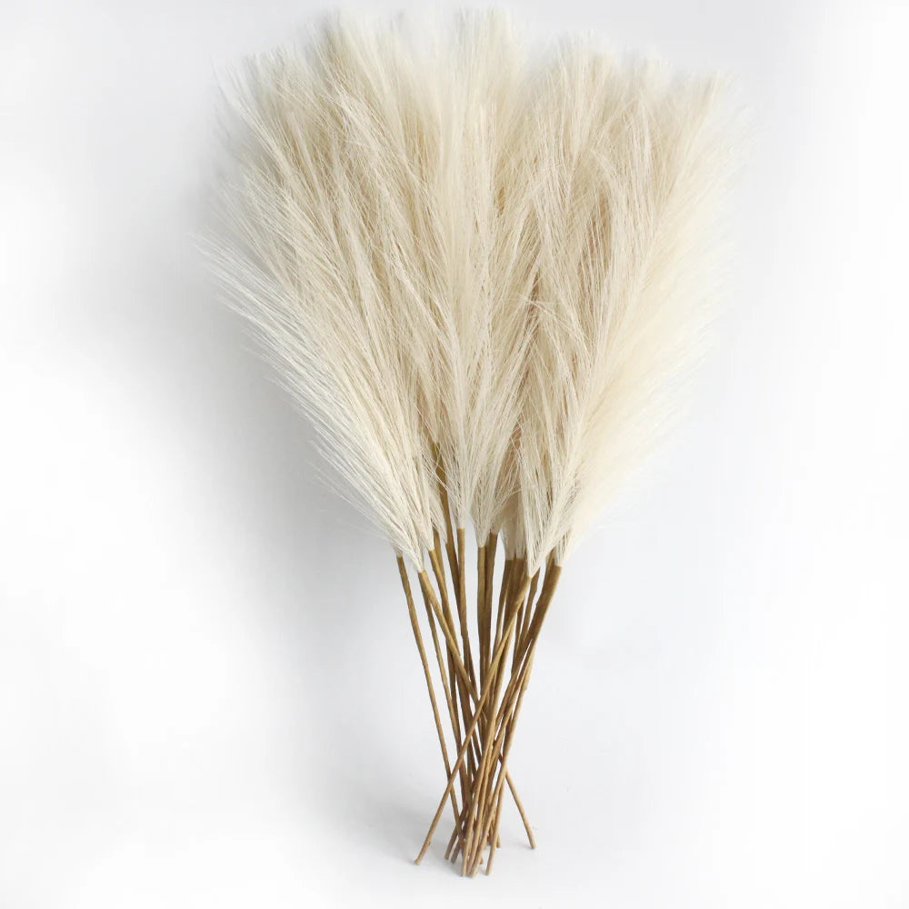 6pcs Pampas Grass Decor Flowers beige 6PCS PACK Emma