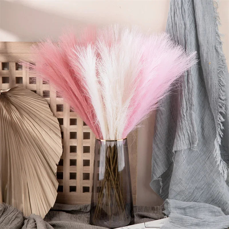 10pcs Flower Pampas Grass Plant Emma