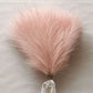 10/50pcs Pampas Grass Reed Plants color 5 Emma