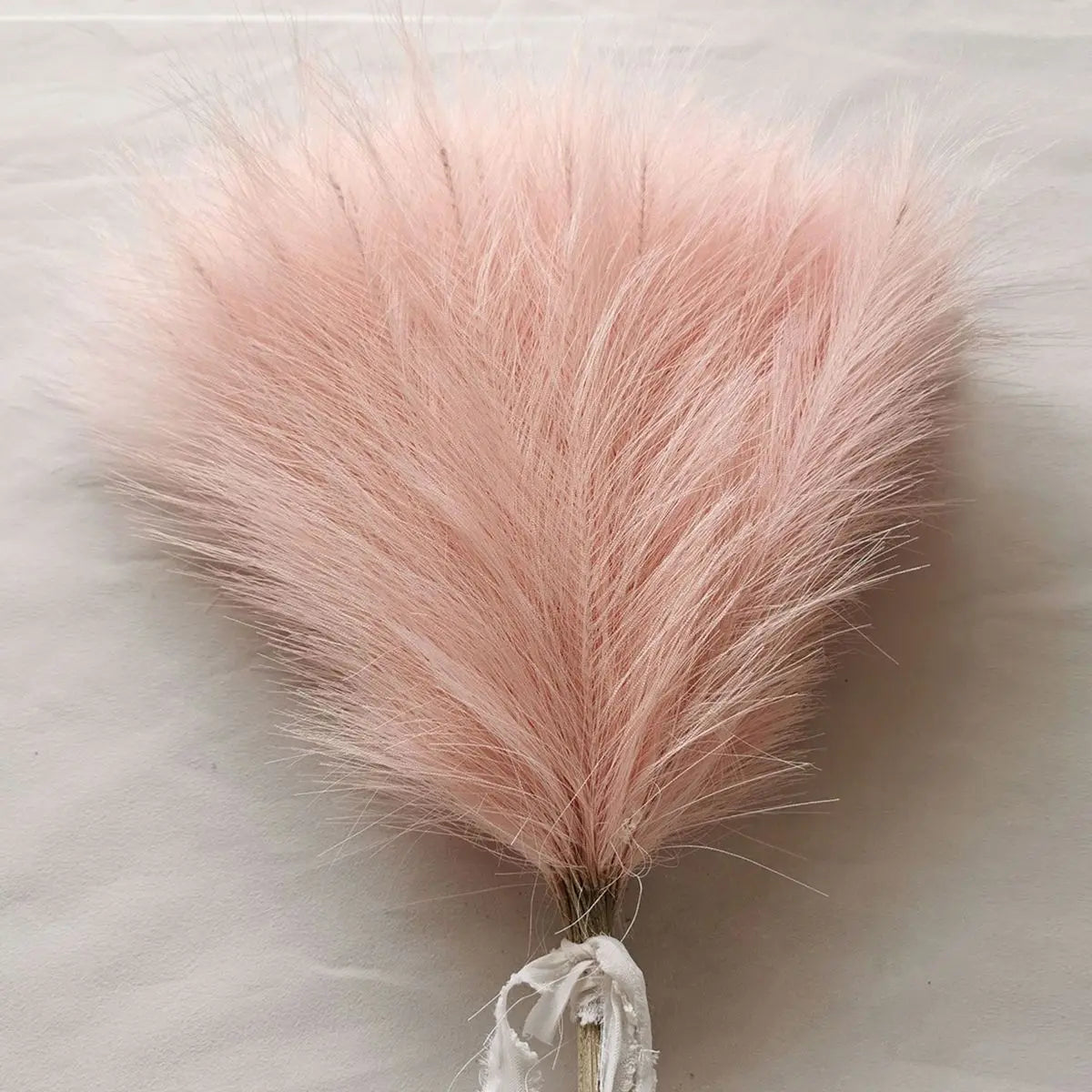 10/50pcs Pampas Grass Reed Plants color 5 Emma