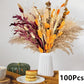 Natural Pampas Dried Flowers Bouquet H-100PCS Emma