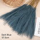 10pcs Flower Pampas Grass Plant dark blue 10PCS Emma