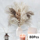 Natural Pampas Dried Flowers Bouquet L-80PCS Emma