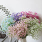 108 Head Flower Baby's Breath Emma