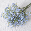 Gypsophila Flower Outdoor Garden Party Blue Emma