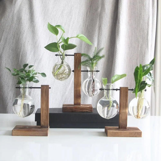 Modern Glass Vase with Wooden Stand – Hydroponic Tabletop Planter Emma