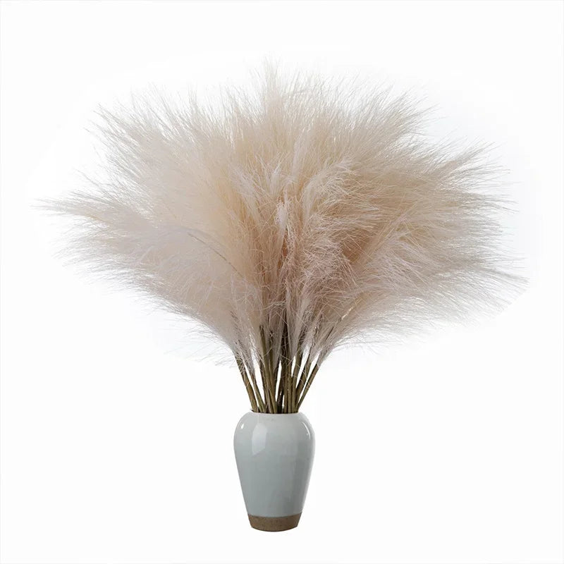 10pcs Flower Pampas Grass Plant Emma
