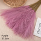 10pcs Flower Pampas Grass Plant purple 10PCS Emma