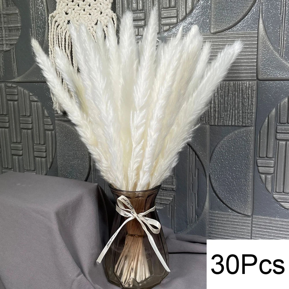 Natural Pampas Dried Flowers Bouquet M-30PCS Emma