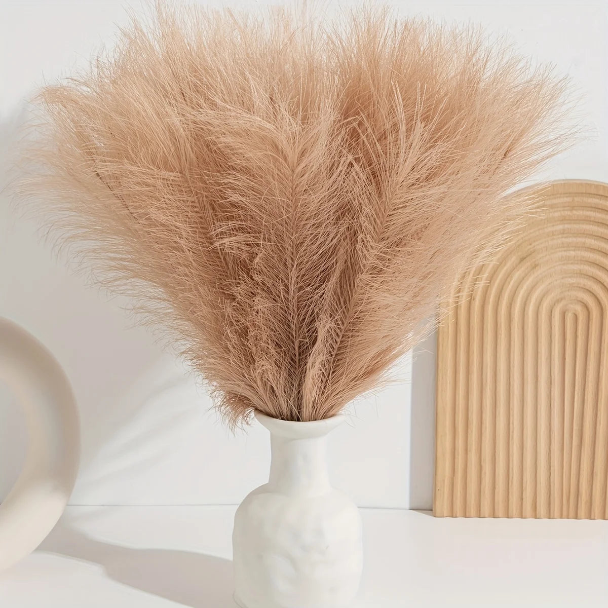 10/50pcs Pampas Grass Reed Plants Emma