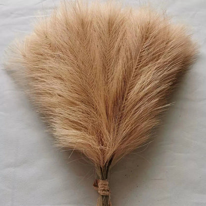 5/10/20pcs 42cm Flower Fluffy Pampas Brown coffee Emma