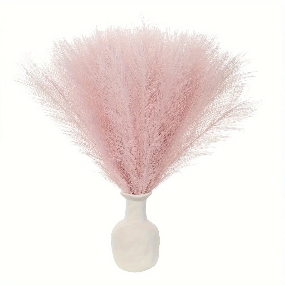10/50pcs Pampas Grass Reed Plants Emma
