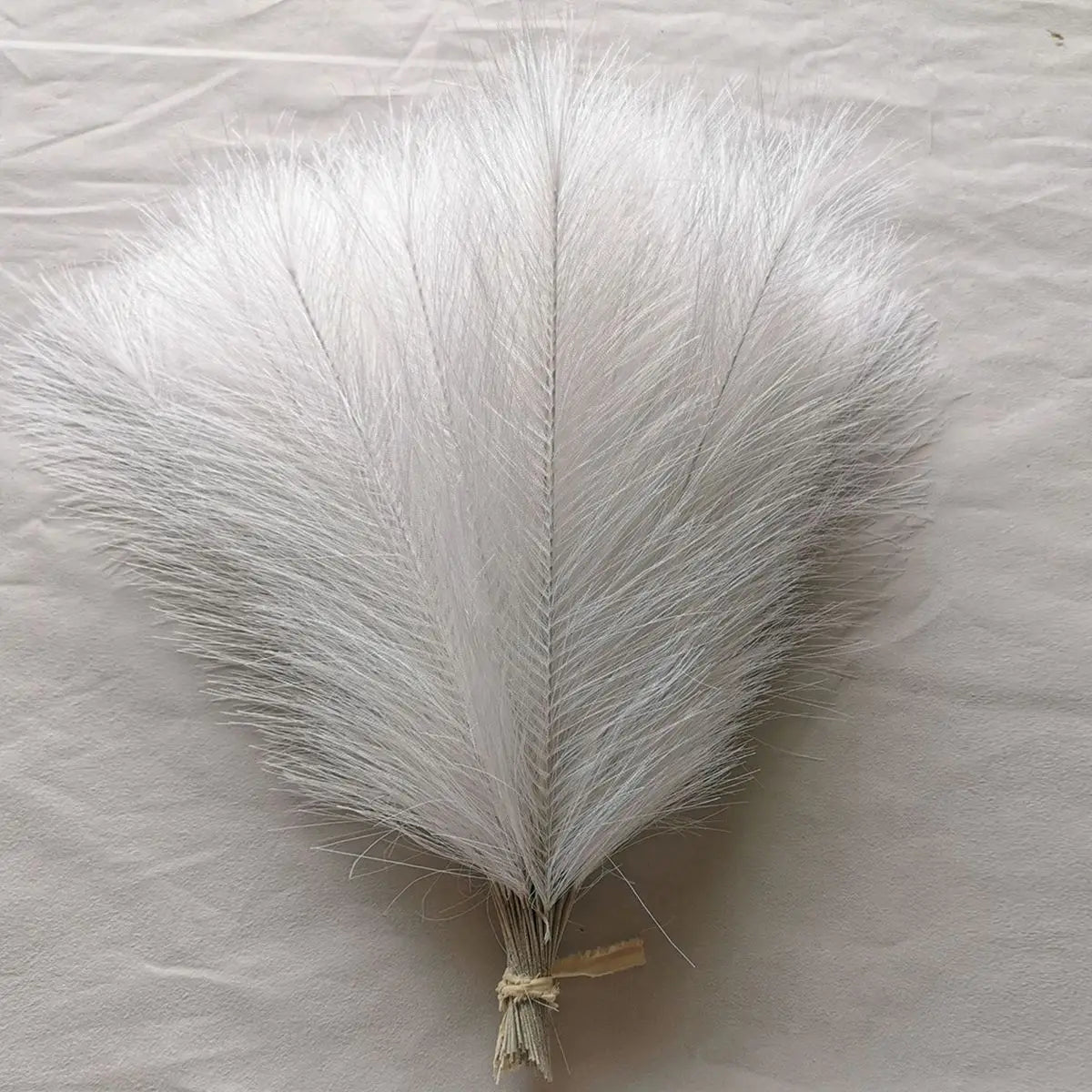 10/50pcs Pampas Grass Reed Plants color 1 Emma