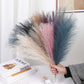 5/10/20pcs Fluffy Pampas Grass Boho Emma