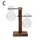 Vintage Glass Planter with Wooden Stand – Bulb Vase for Decor C Emma