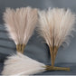5/10/20pcs Fluffy Pampas Grass Boho Emma