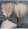5/10/20pcs Fluffy Pampas Grass Boho Emma