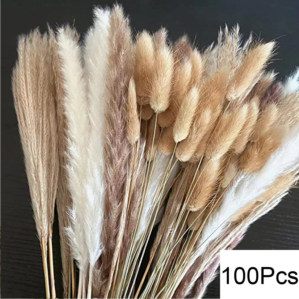 Natural Pampas Dried Flowers Bouquet A-100PCS Emma
