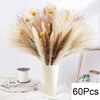 Natural Pampas Dried Flowers Bouquet E-60PCS Emma