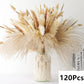 Natural Pampas Dried Flowers Bouquet J-120PCS Emma