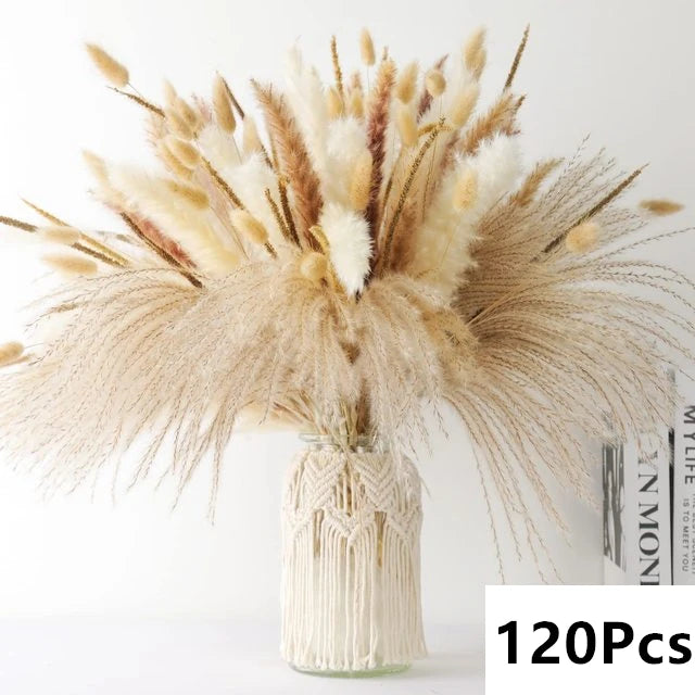Natural Pampas Dried Flowers Bouquet J-120PCS Emma