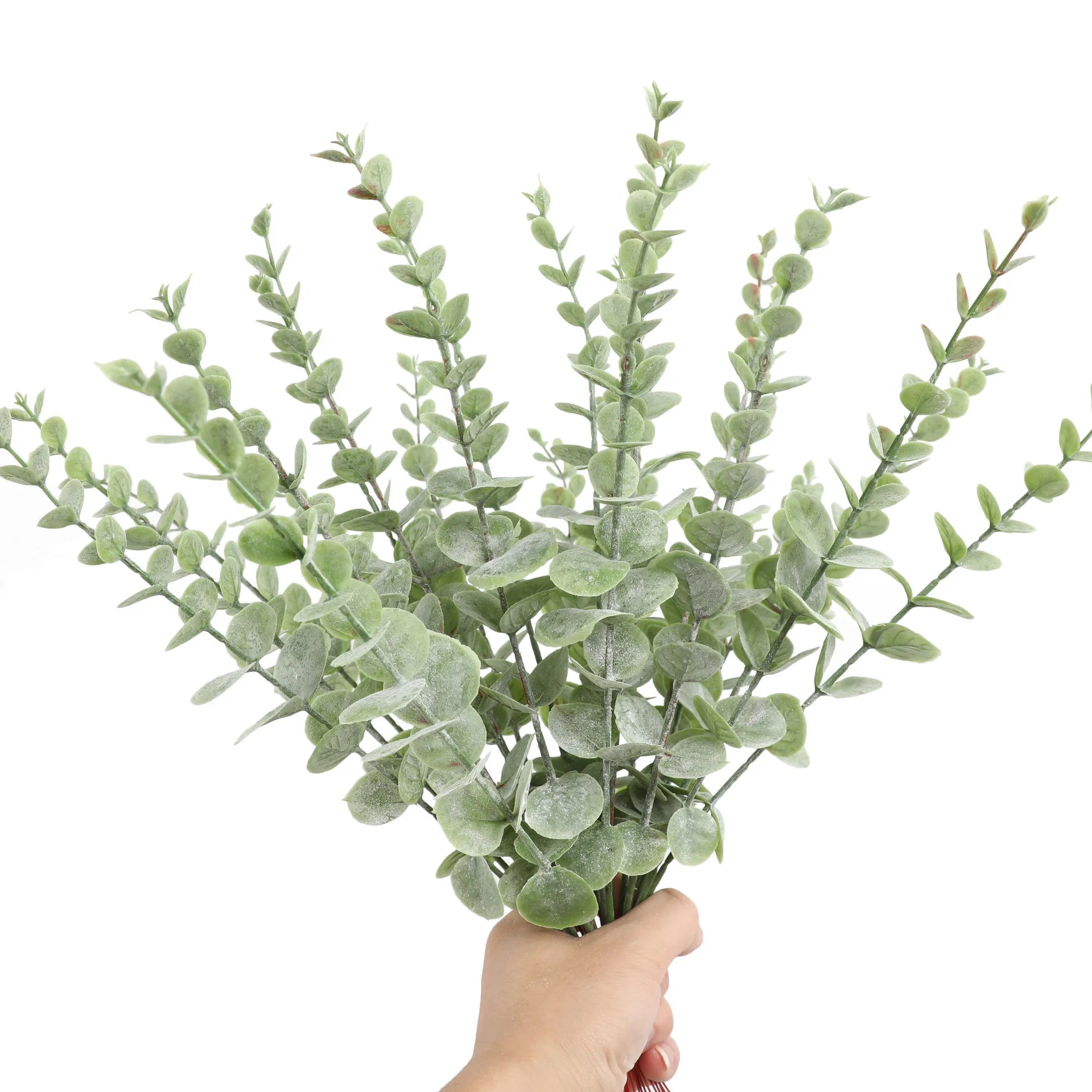 Yannew 12pcs Eucalyptus Stems Silver Emma